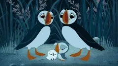 Puffin Rock (As Gaeilge)