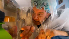 The Secret Life of Boys