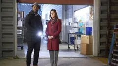 Hailey Dean Mysteries