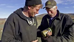 Gold Divers