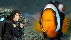 Andy's Aquatic Adventures