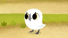 Puffin Rock (As Gaeilge)