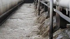 The Proof Is Out There