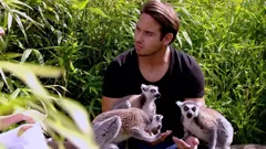 The Only Way is Essex