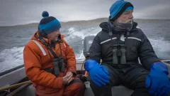 Where The Wild Geese Go