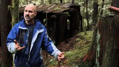 Curse of the Frozen Gold