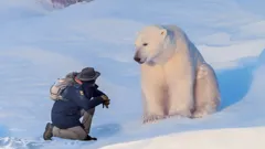 Andy's Safari Adventures