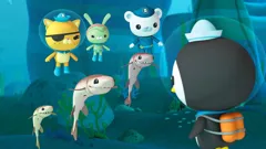 Octonauts