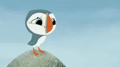 Puffin Rock