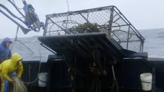 Deadliest Catch