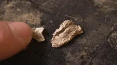 UFOs Declassified