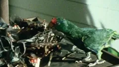 Tales Of The Unexpected