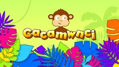 Cacamwnci