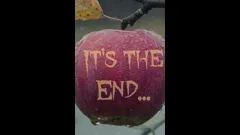 ’S E Iasg a Th’Annam (I’m a Fish)