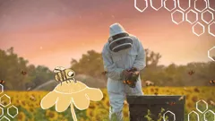 Bee-Kept