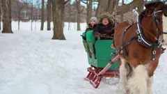 Royal Christmas Crush