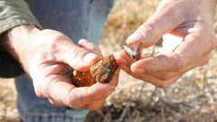 Outback Opal Hunters