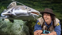 Andy's Safari Adventures