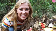 Maddie's Do You Know?