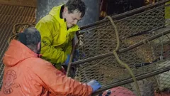 Deadliest Catch