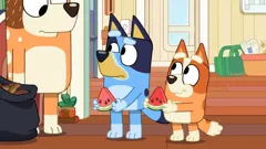 Bluey