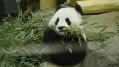 The Whole Story with Anderson Cooper