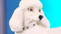 Dickinson's Real Deal