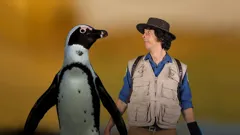 Andy's Safari Adventures