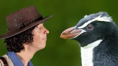 Andy's Safari Adventures