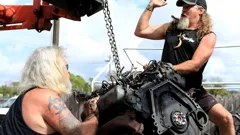 Guardians Of The Glades