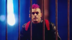 Release the Hounds