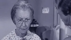 The Beverly Hillbillies