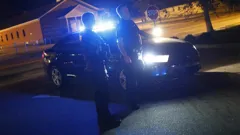Police Interceptors