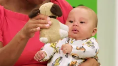 The Baby Club