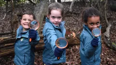 Ranger Hamza's Eco Quest