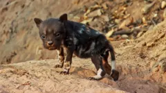 Andy's Global Adventures