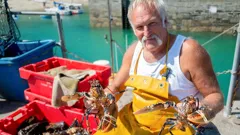 Devon and Cornwall at Christmas