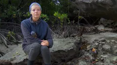 Survivor South Africa