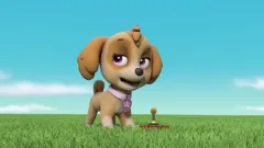 PAW Patrol