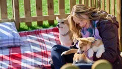 A Royal Corgi Christmas