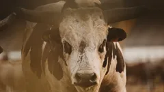 Destroyed in Seconds