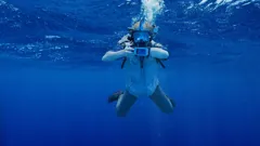 Andy's Safari Adventures