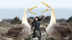 Andy's Aquatic Adventures