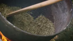 America the Bountiful