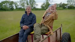 Junk & Disorderly:...