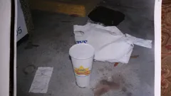 Bloodline Detectives