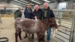 The Yorkshire Vet