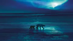 Frozen Planet II