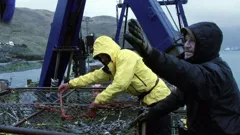 Deadliest Catch