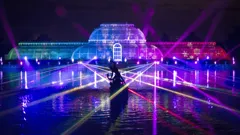 Lighting Up Christmas